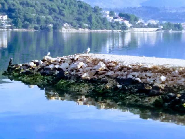 Apartmani Marta Marina Bagian luar foto