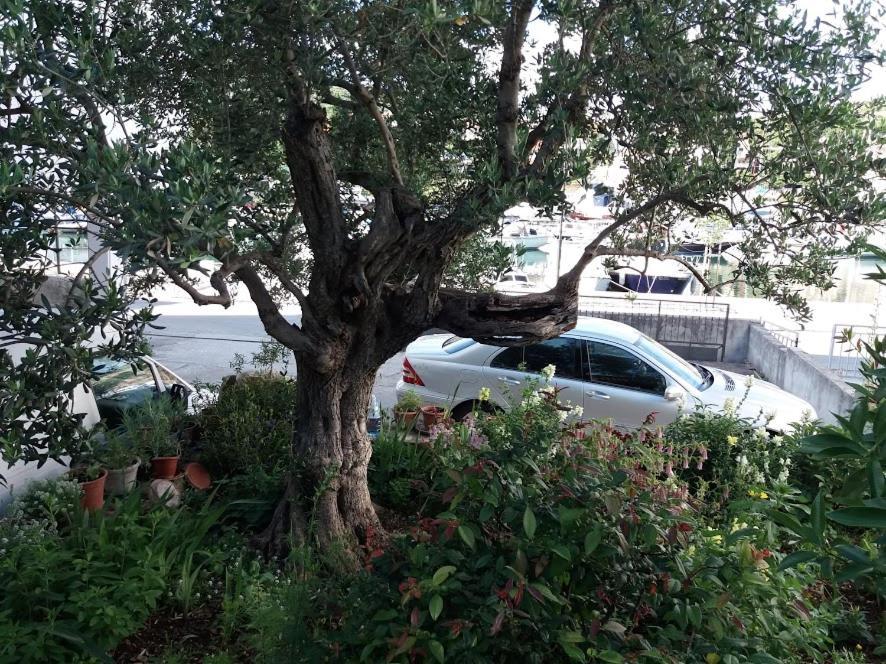 Apartmani Marta Marina Bagian luar foto